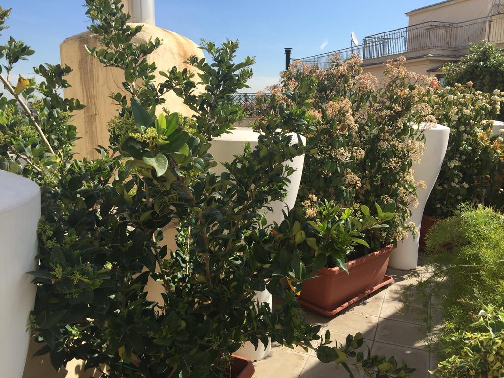 Terrazza Fiorita Rom