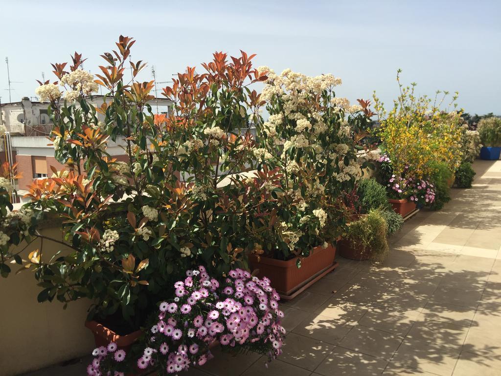 Terrazza Fiorita * Rom